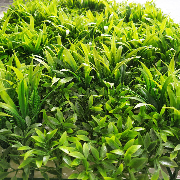 vertical wall panels- Cryptocoryne Lucens
